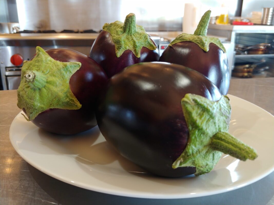 Eggplant from Garden