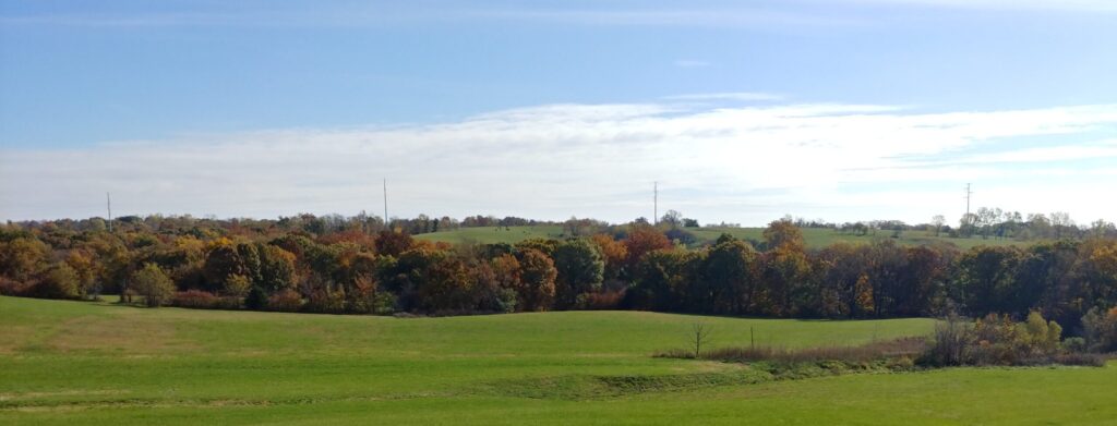 View from the Deck Autumn 2020 Trees Changing Colors